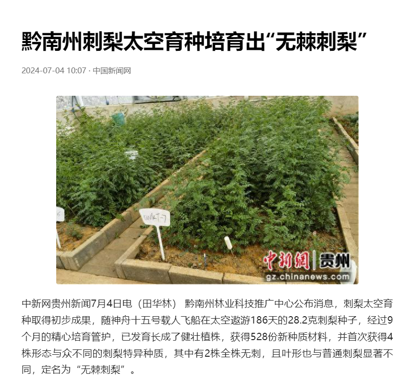 黔南州刺梨太空育种